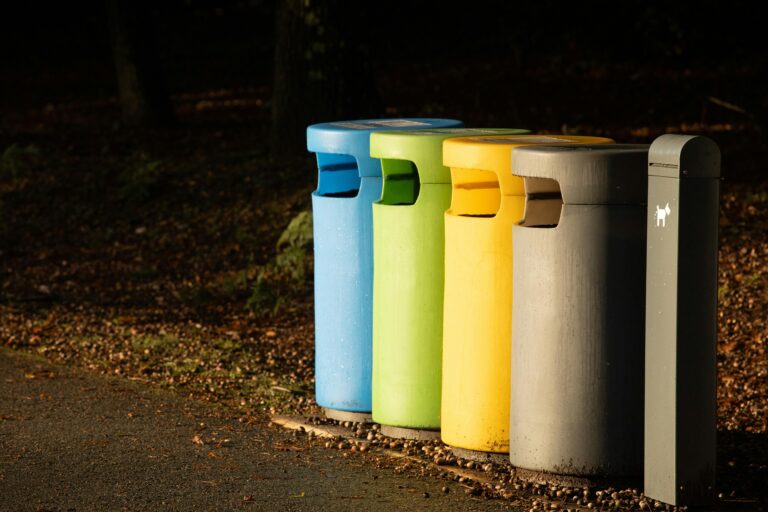 Tout savoir sur les poubelles extérieures et leurs usages